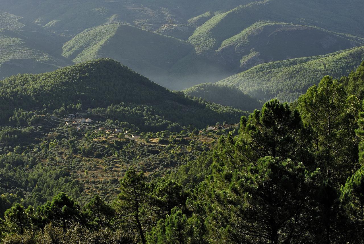 Casas Rurales Tio Frasquito Y Cleto Yeste Bagian luar foto